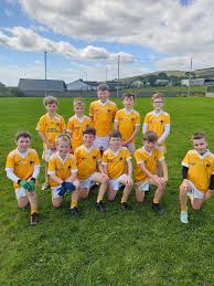 Image result for Drumgath Gaelic Football Club