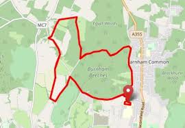 Image result for Burnham Joggers