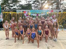 Image result for Nairn Synchronized Swimming Club