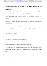 Image result for Vazella pourtalesii