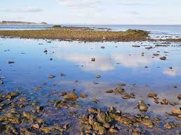 Image result for Solway