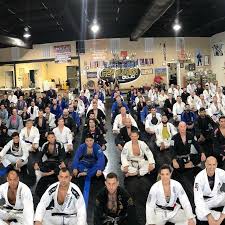 Image result for Revolution Dojo