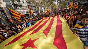 Image result for catalans universals