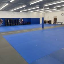 Image result for America's Best Karate