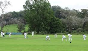 Image result for North Devon Cricket Club
