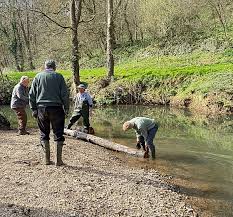 Image result for Byfleet Angling Association