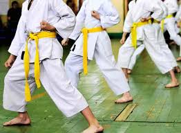 Image result for Sokudo Martial Arts Club