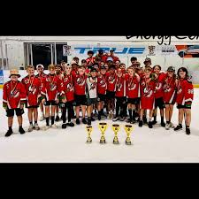 Image result for Telford Junior Ice Hockey Club