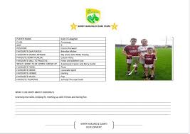 Image result for Causeway Hurling Club