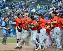 Image result for Taunton Muskets Baseball Club