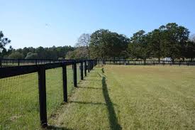 Image result for Cliff Hatch Stables