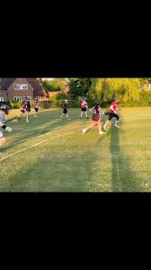 Image result for Welwyn Lacrosse Club