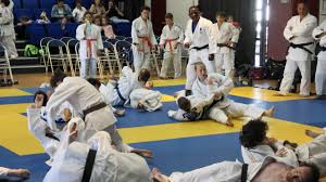 Image result for Alpha Judo Club