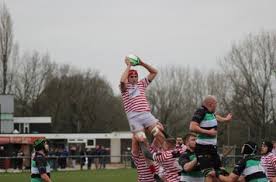 Image result for Lymm Rugby Football Club
