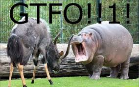 images?q=tbn:ANd9GcT0f5BsY88Y2MOJsIGUPw5F0i8kMkmqvEfLaZzCkKCD9uVsVfoy