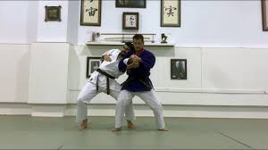 Image result for Tae-jitsu