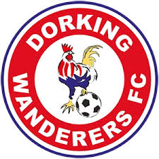 Image result for Dorking Wanderers F C