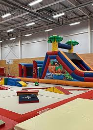 Image result for Europa Gymnastics Club, Bexley