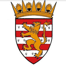 Image result for Deantown Welfare Bowling Club