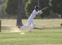 Image result for South Wilts Cricket Club