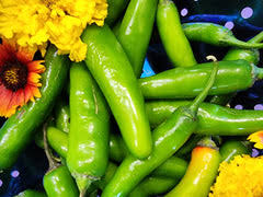 Afbeeldingsresultaat voor aconcagua sweet pepper