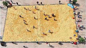 Image result for London Sharks Floorball Club