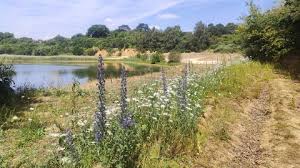 Image result for Nutfield Youth