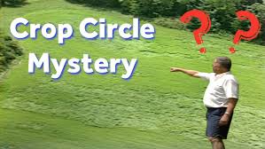 Image result for crop circle