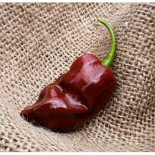 Afbeeldingsresultaat voor aji habanero hot pepper