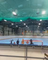 Image result for Dundee Ducks inline roller hockey club