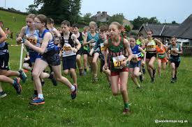 Image result for Eryri Harriers Running Club