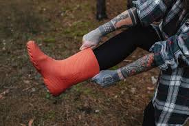 Attēlu rezultāti vaicājumam “Ranidae”