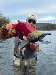 Image result for Oncorhynchus nerka