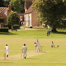 Image result for Sibton Park Cricket Club