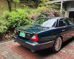 Image result for Racing Green 1981 Jaguar