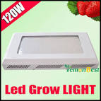 Wholesale 120W UFO LED Plant Grow Light Hydroponic Red Blue 8:1 ...