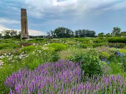 Image result for Piet Oudolf