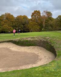 Image result for Reigate Heath Golf Club