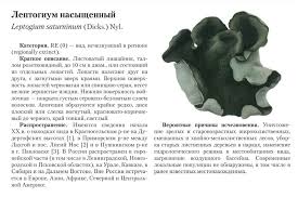 Attēlu rezultāti vaicājumam “Leptogium saturninum”