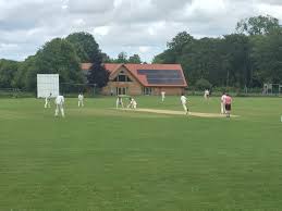 Image result for Bere Regis Cricket Club