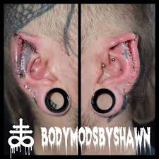 Image result for ear mod