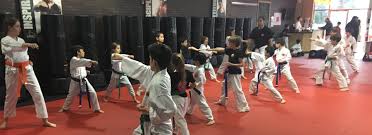 Image result for Elite Martial Arts Academy
