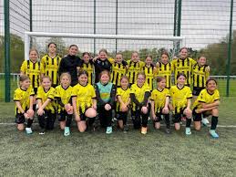 Image result for Warsash Wasps Sports & Football Club