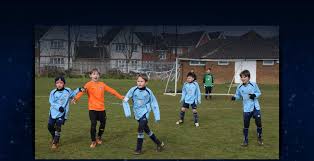 Image result for Shalford F C