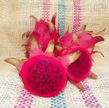 Attēlu rezultāti vaicājumam “Rosa villosa fruit”