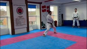 Image result for enpi dojo