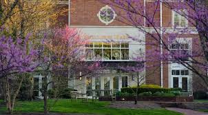 Image result for Sutcliffe Park Sports Centre