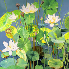 Attēlu rezultāti vaicājumam “Lotus sp. flower”