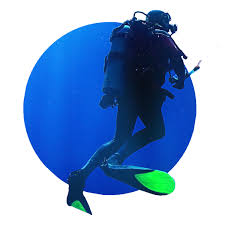 Image result for Blue Water Diving