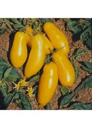 Afbeeldingsresultaat voor banana legs tomato